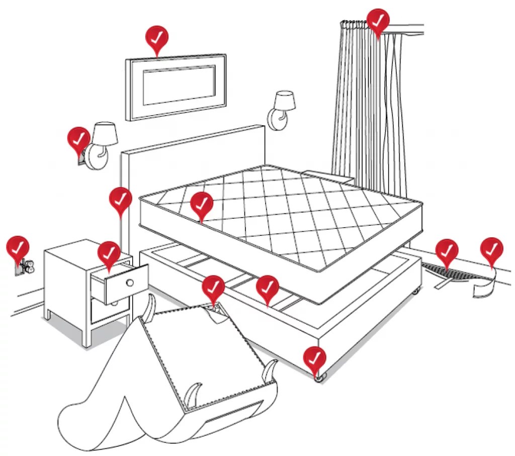 How To Get Rid Of Bed Bugs In A Mattress Answered!