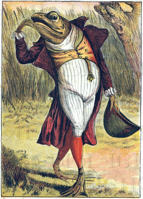 A dapper frog MATTHEW'S ISLAND