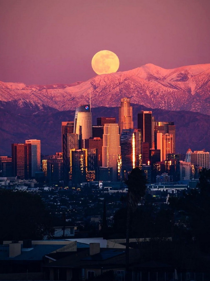 Los Angeles, 2021 MATTHEW'S ISLAND