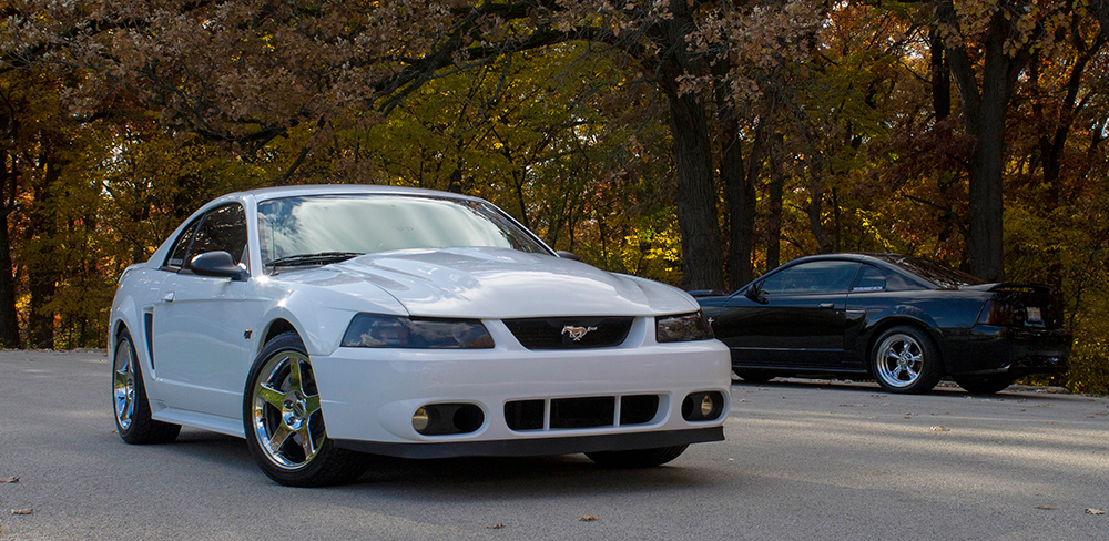Terminator bumper with 2000 Cobra R hood Forums at Modded Mustangs