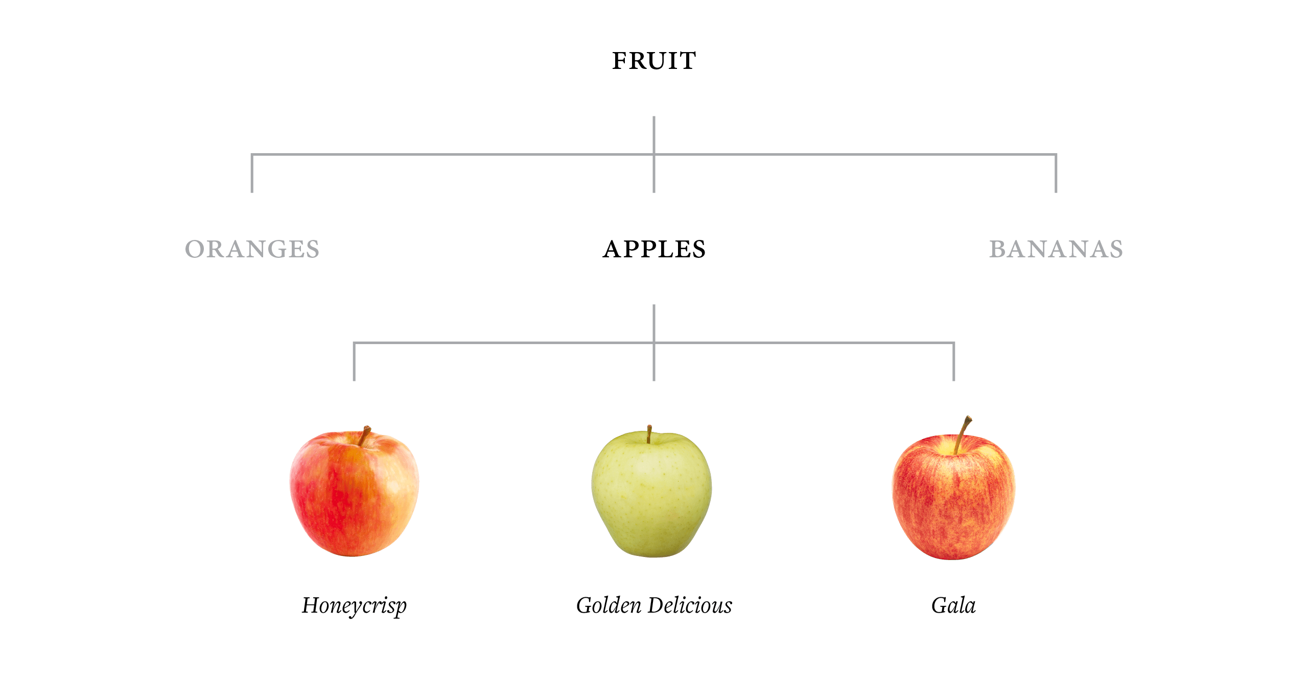 Helping Clients Value Type Differently Mattymatt