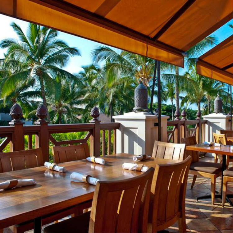 happy hour at tommy bahama maui happy hours