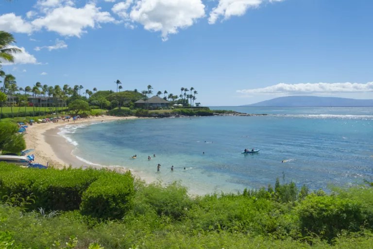 Kapalua Bay Snorkeling Guide Maui Hideaway