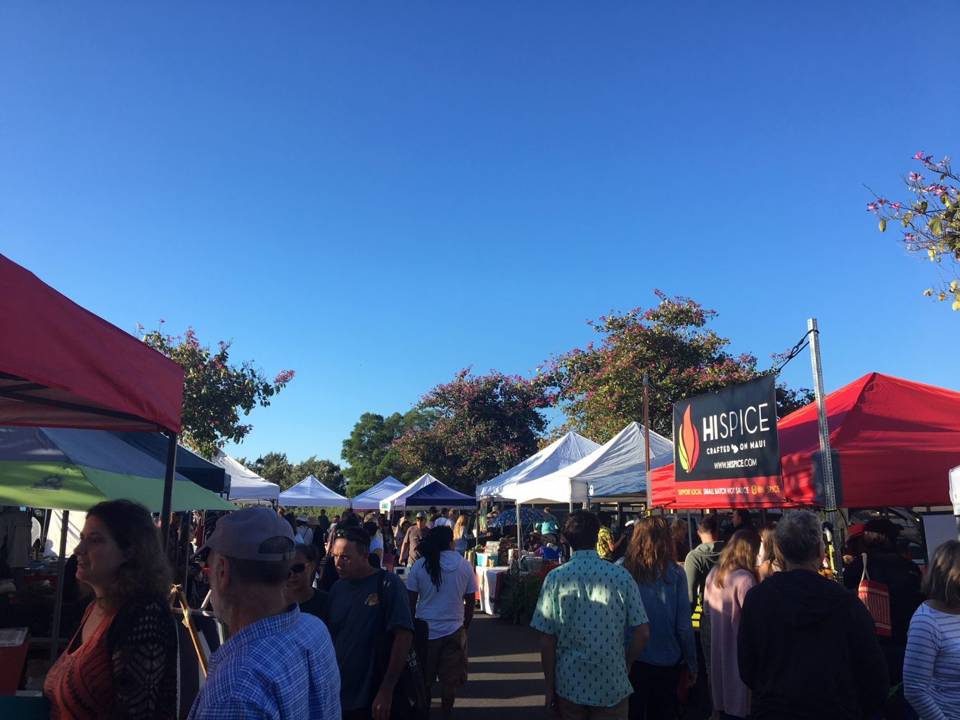 Current Maui Farmer's Markets Maui Oceanview Condos