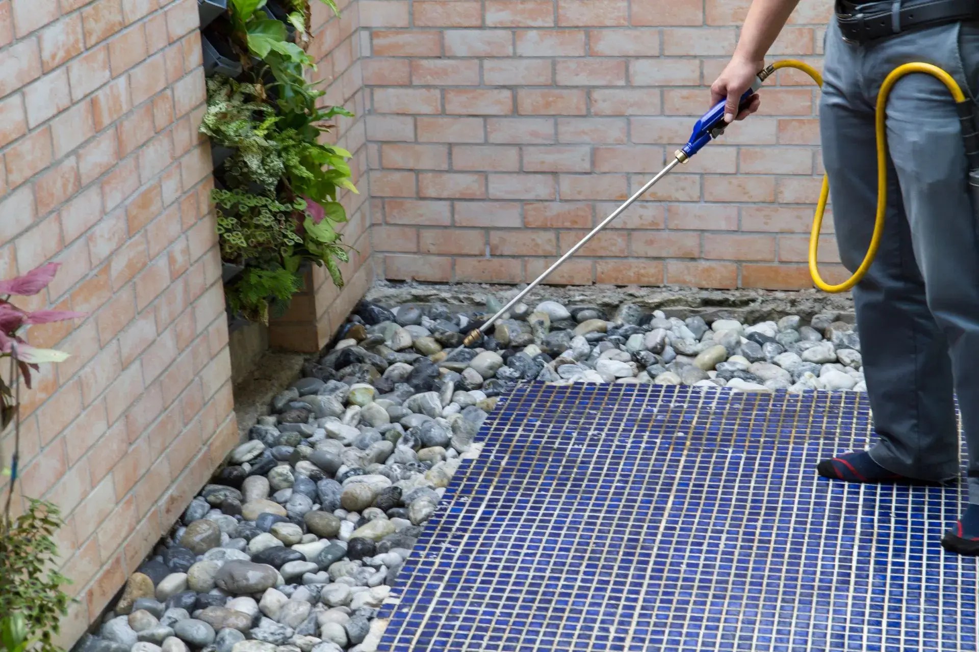 Residential Pest Control Oahu MidPacific Pest Control