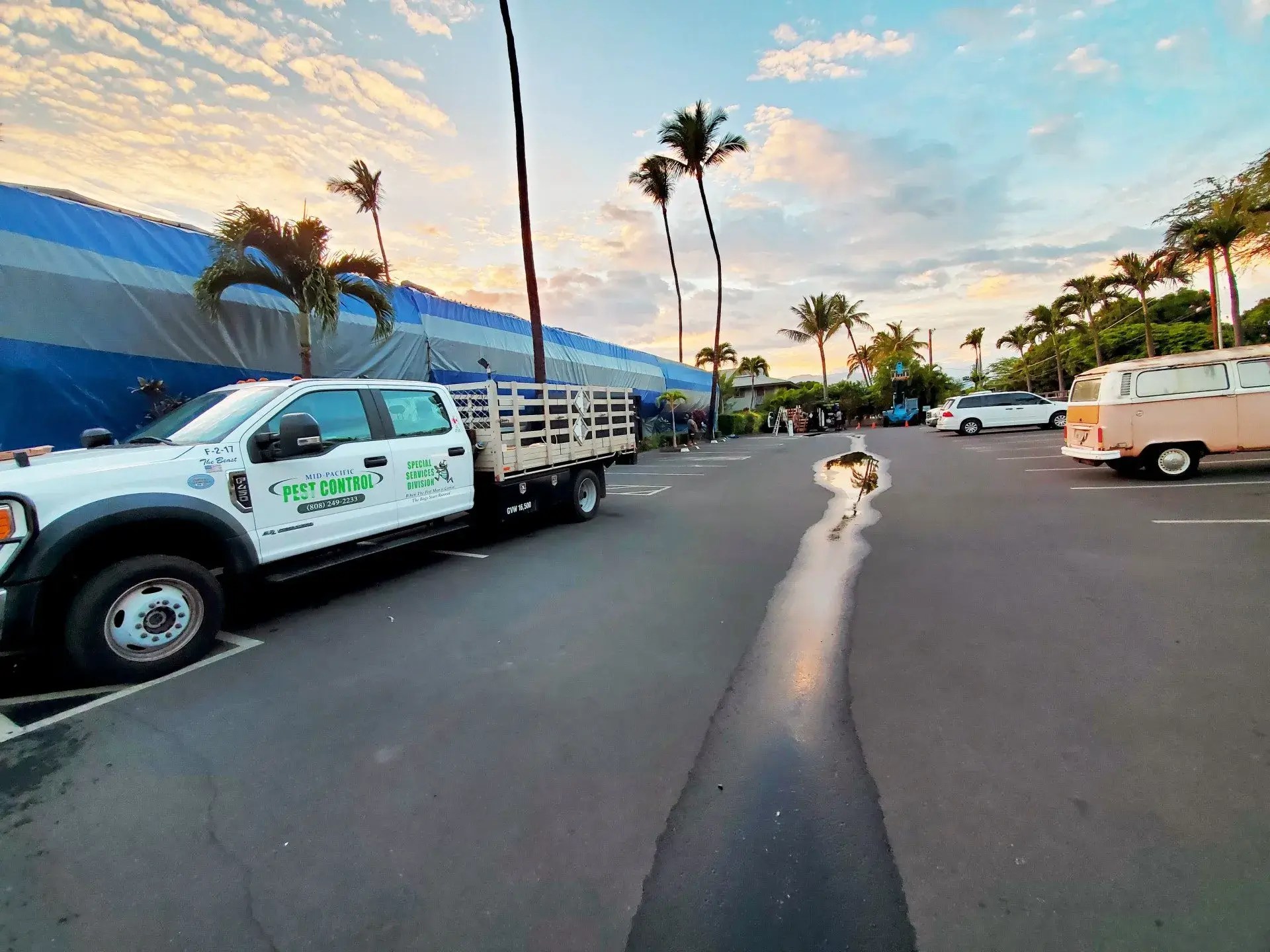 Maui Bed Bug Control MidPacific Pest Control