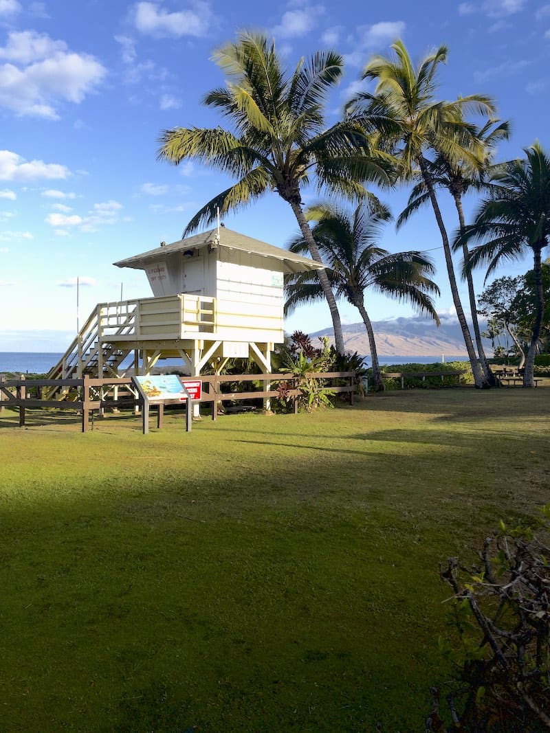 From Windsurfing to Turtle Viewing, These Are The 9 Best Beaches in Kihei