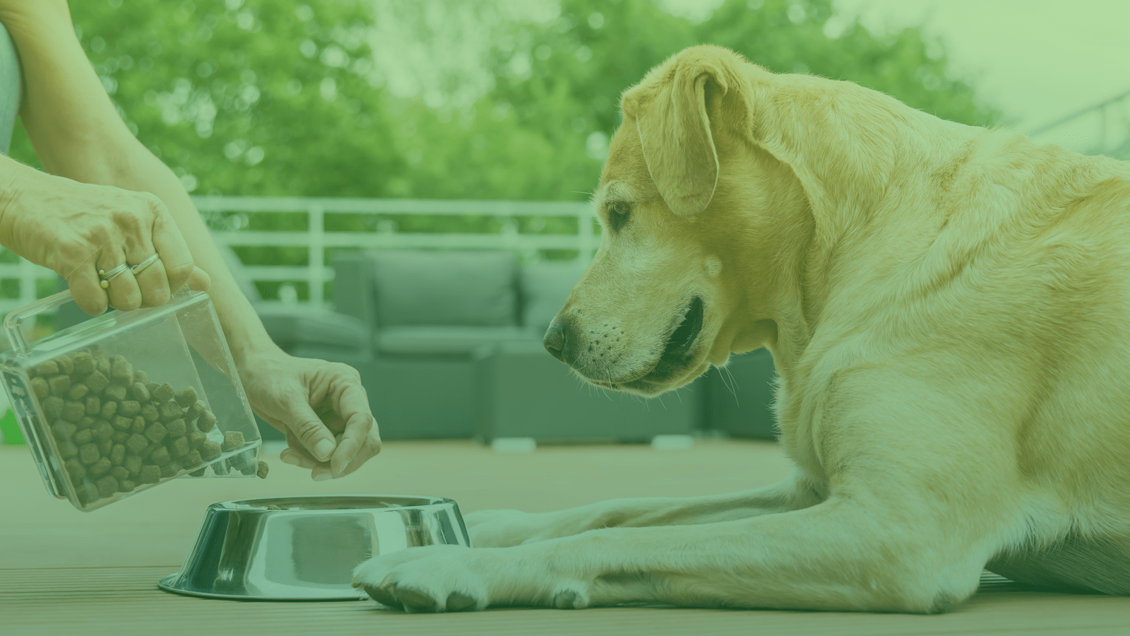 Working Dog Food Free Delivery On All Orders Maultbys