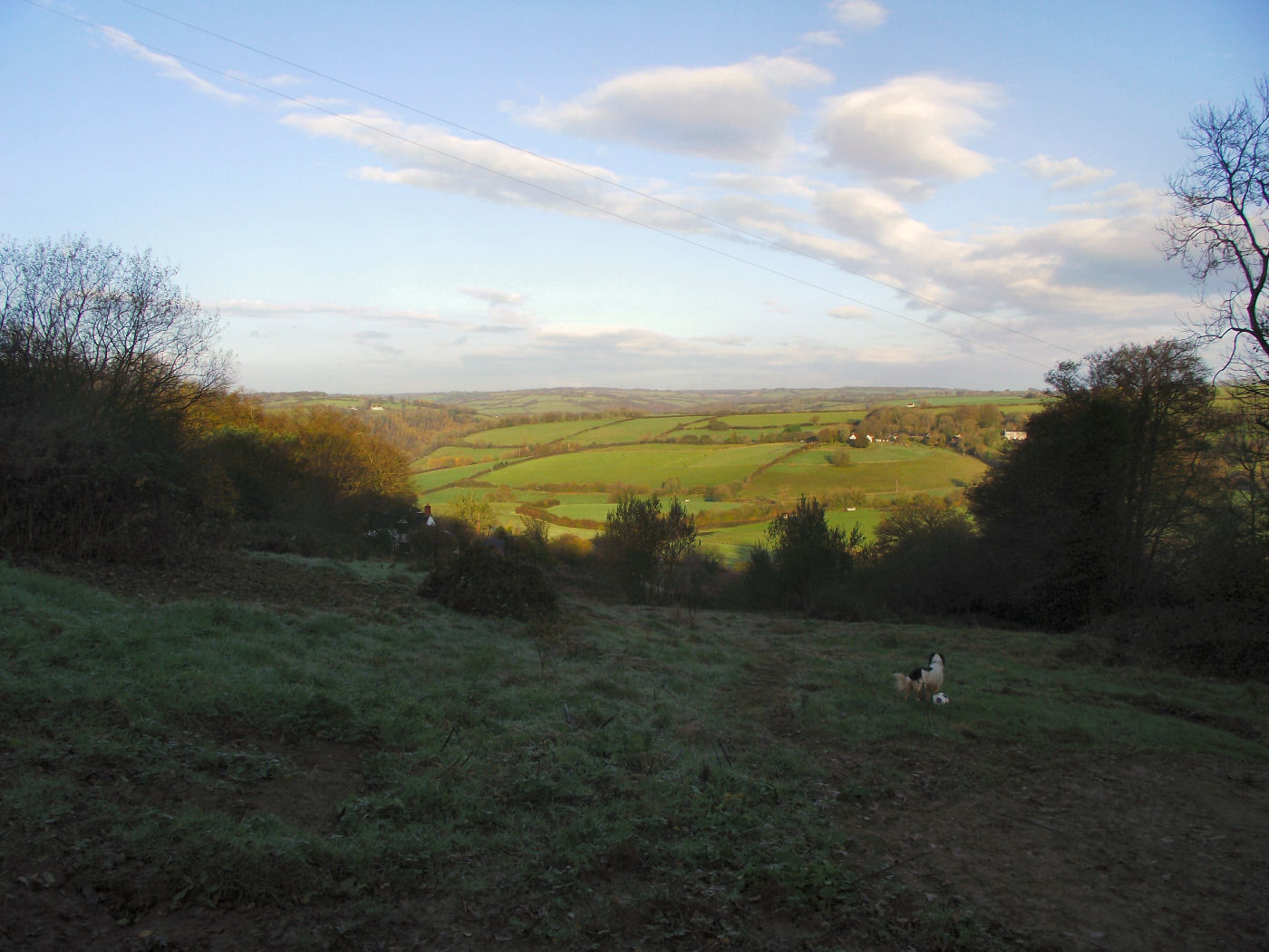 Soft Rush ( Like Hell it is ) DerBauernhof.co.uk