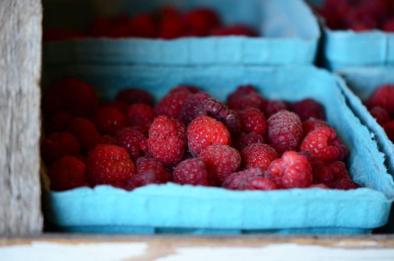 Ingredient Raspberries, UPick Maureen Abood