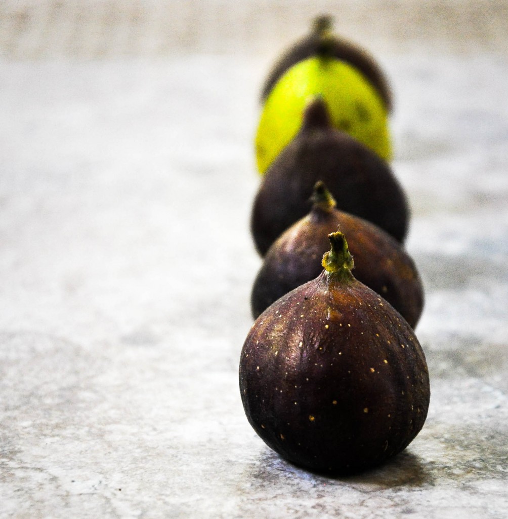 Figs Maureen C. Berry