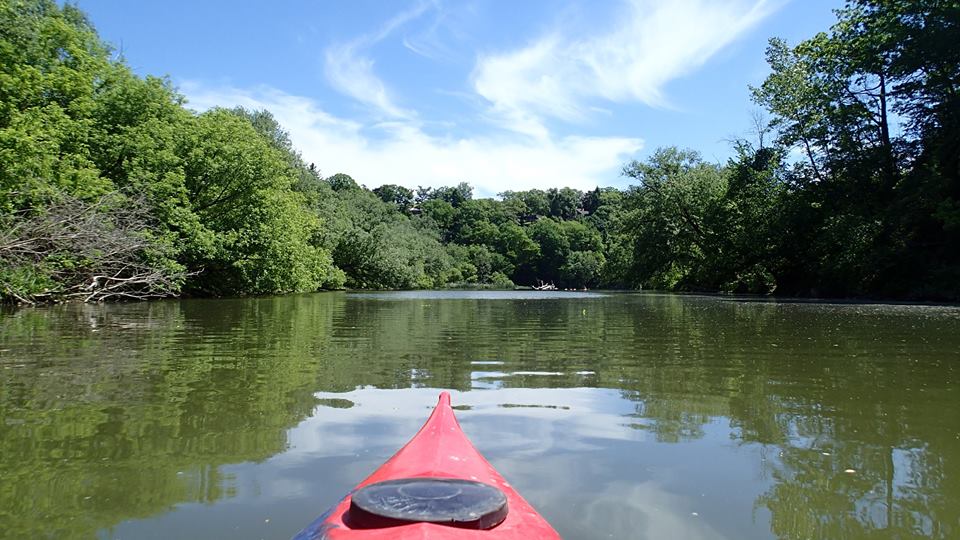 Kayaking the Humber River Maureen Littlejohn