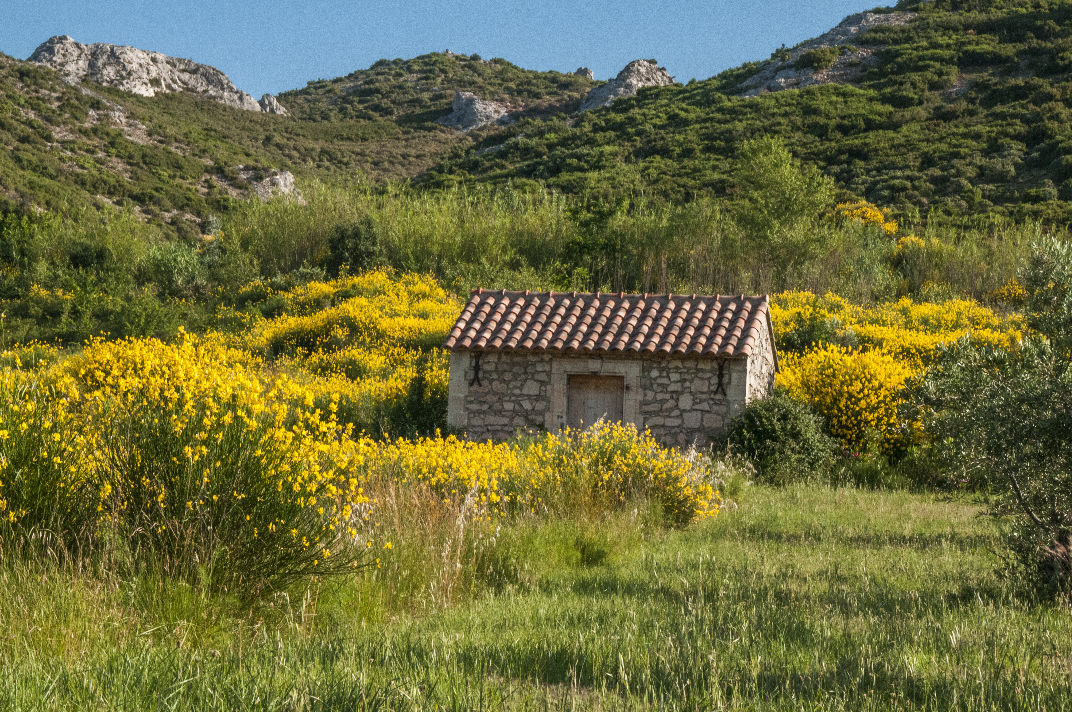 Le massif des Alpilles Office de Tourisme Maussane les Alpilles