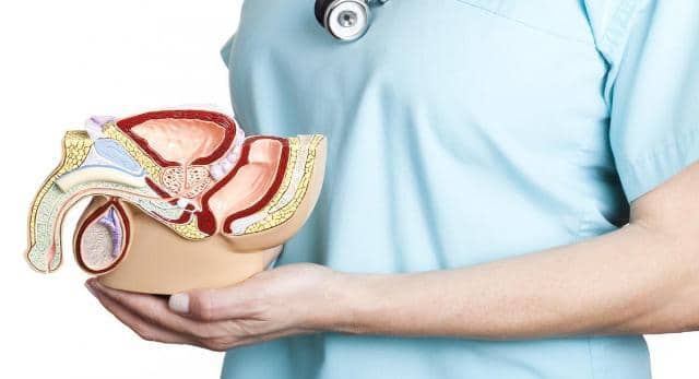 Prostate Milking How To Do ,Health Benefits