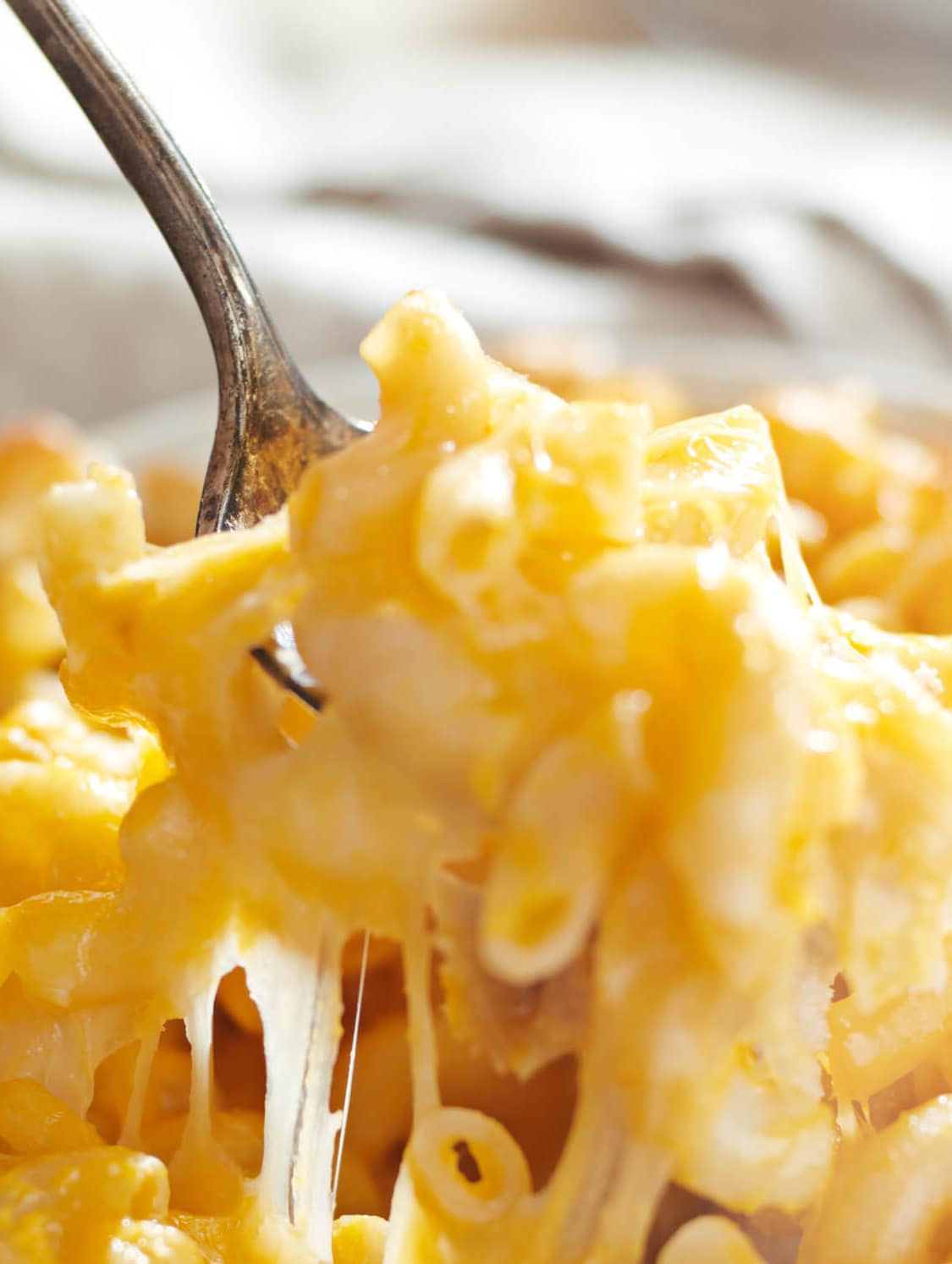 How to make mac and cheese with evaporated milk chesspag