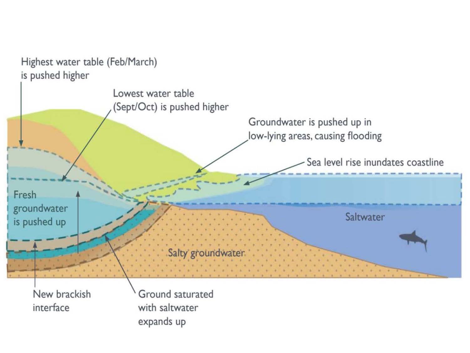Difference Between Groundwater And Water Table Decoration D'autrefois