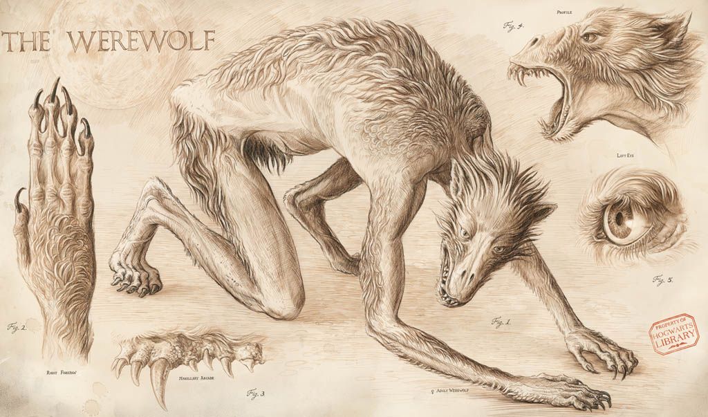 hp_werewolf_book Maegan A. Stebbins MaverickWerewolf's Den