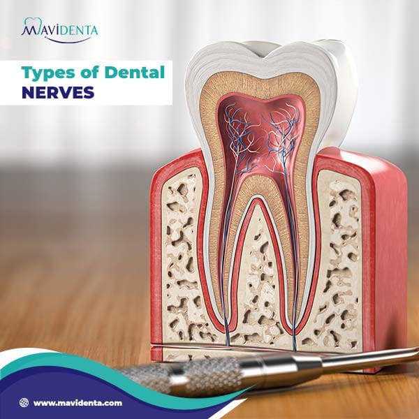 Understanding Symptoms Of Dental Nerve Damage