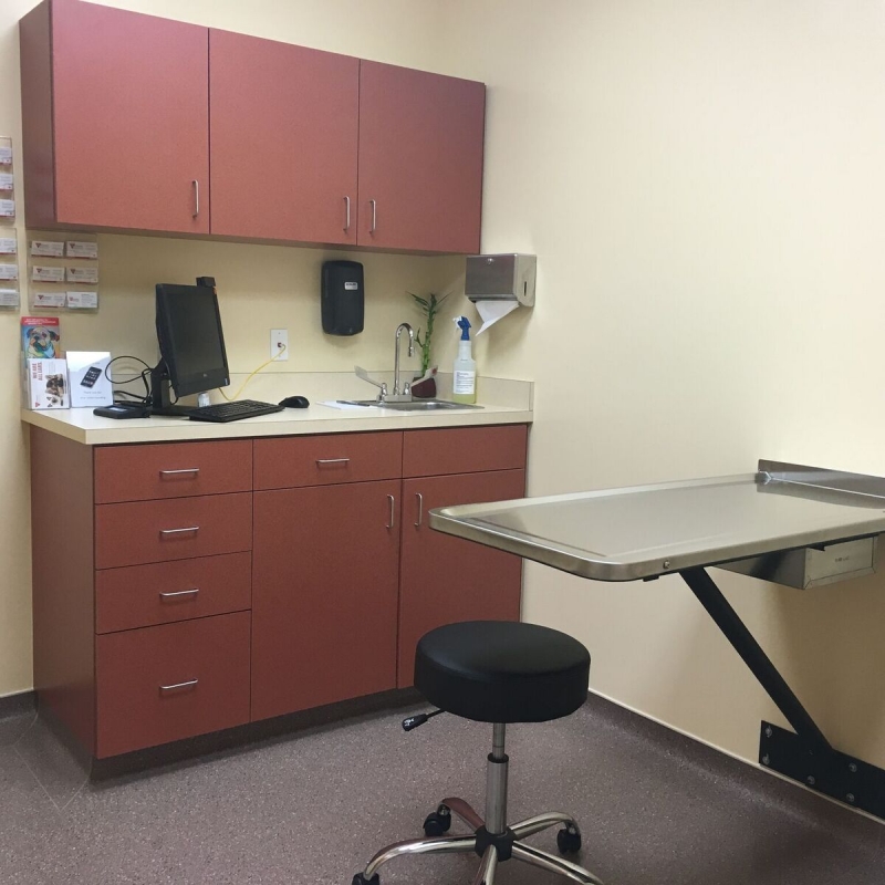 Upstate Vet Emergency & Specialty Care Greenville Mavin Construction