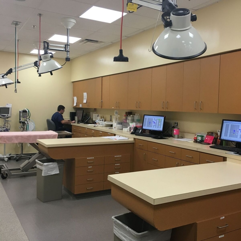 Upstate Vet Emergency & Specialty Care Greenville Mavin Construction