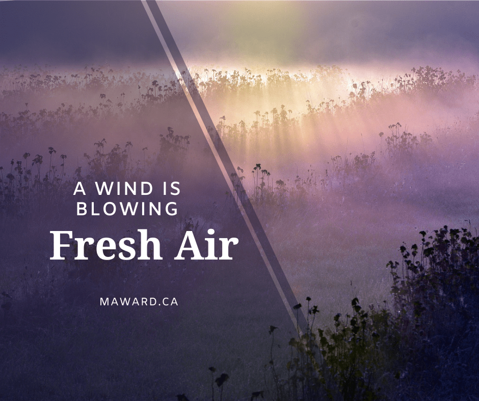Fresh Air! A Fresh Wind Is Blowing Maryann Ward