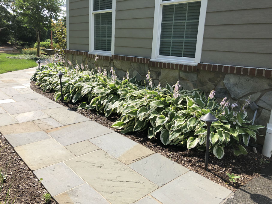 Jacksonville Patio I Maxalea, Inc.