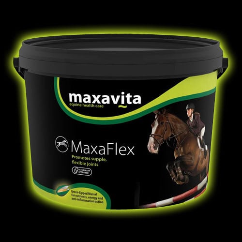 MaxaFlex Maxavita Green Lipped Mussel Supplements
