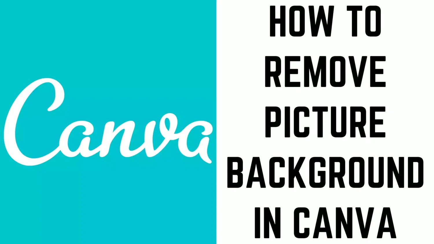 How to Remove Picture Background in Canva