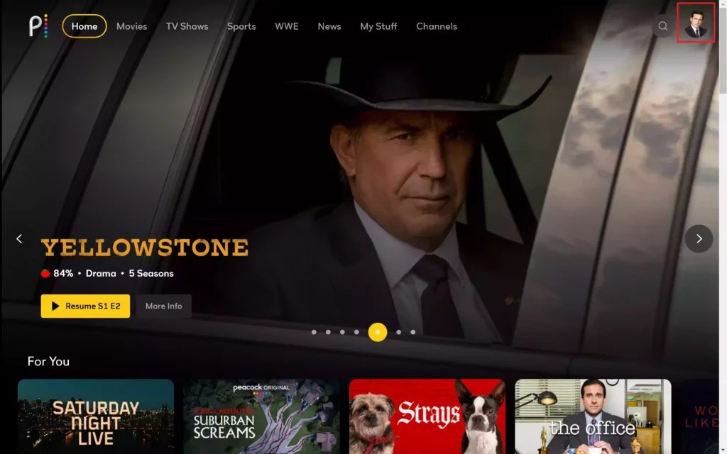 How to Change Peacock TV Password