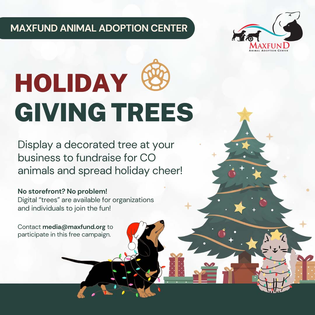 Contact Clinic MaxFund Animal Adoption Center Denver's NoKill(09)