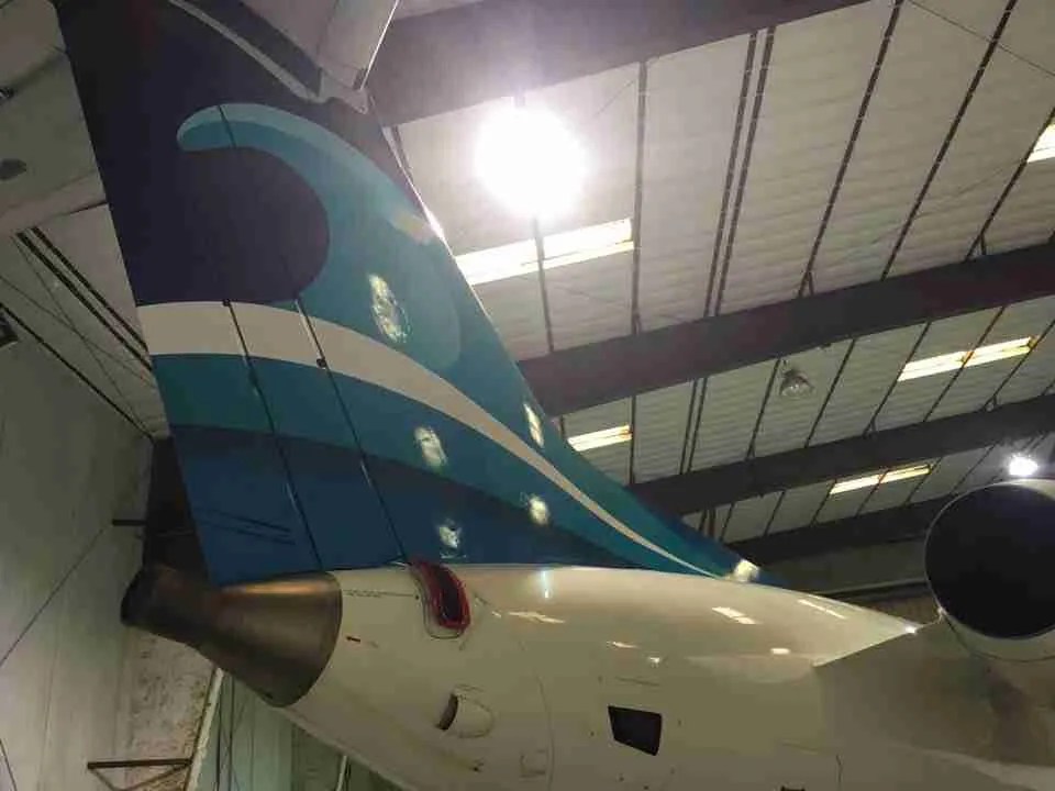 Airplane Wraps and Livery Max Graphics Custom Aircraft Designs