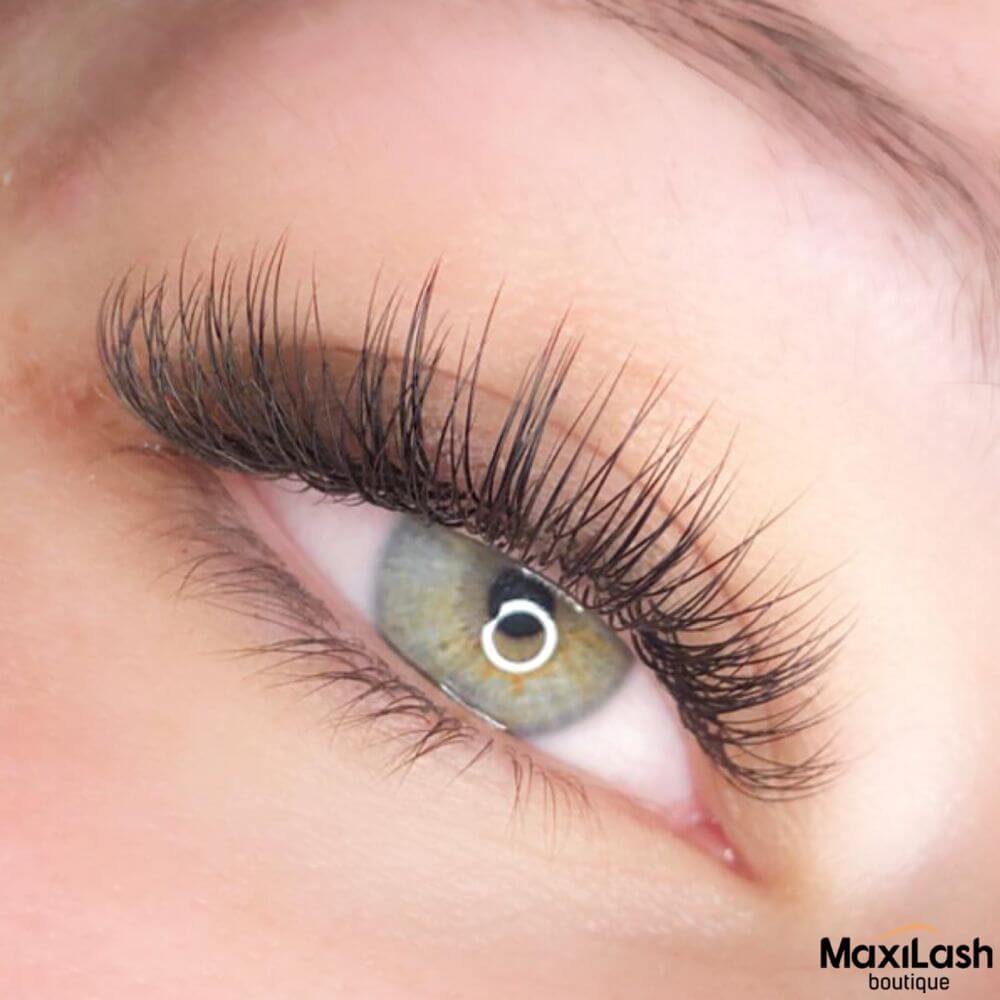 Classic MaxiLash Boutique Lashes & PMU Boston