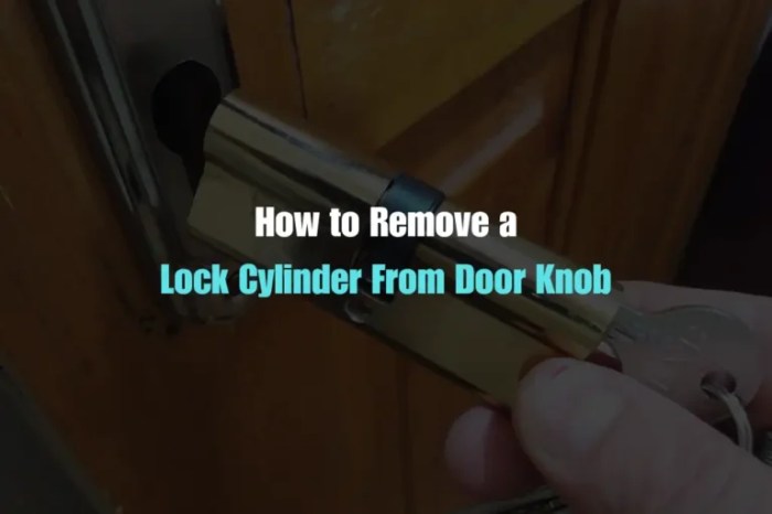 How to remove this lock cylinder from the door : r/lockpicking How to remove this lock cylinder from the door : r/lockpicking