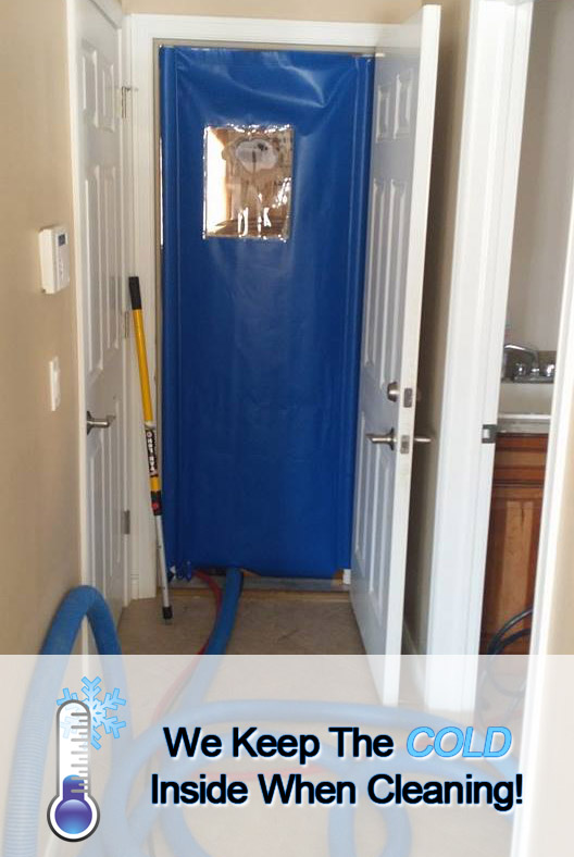 Local Carpet Cleaning Company Maximum Cleaning in Michigan