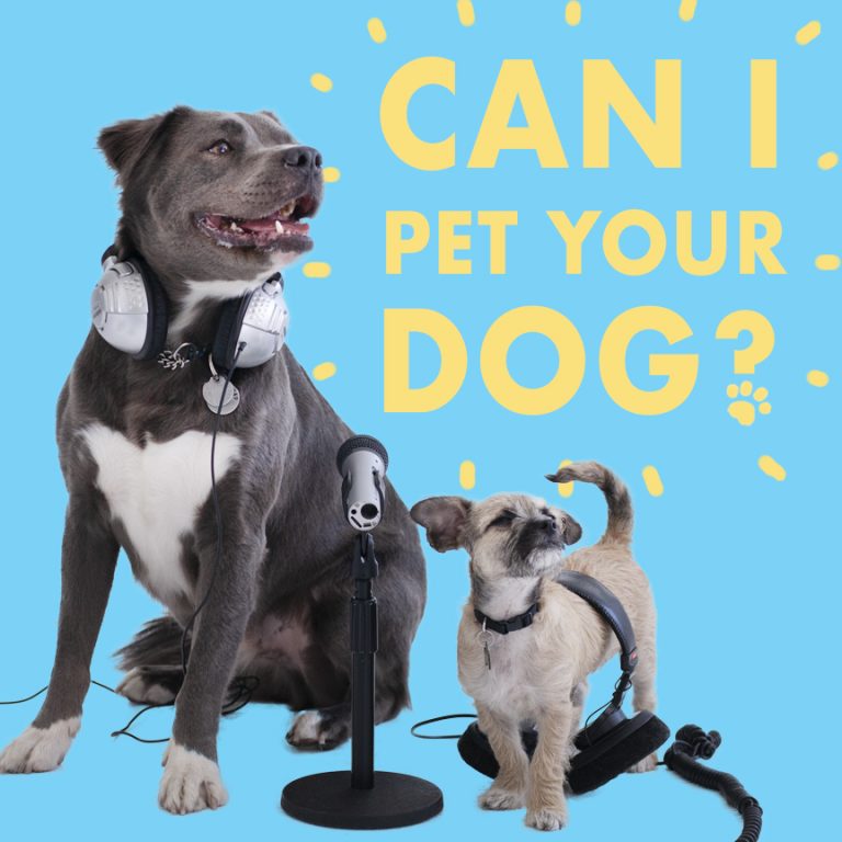 Can I Pet Your Dog? Maximum Fun