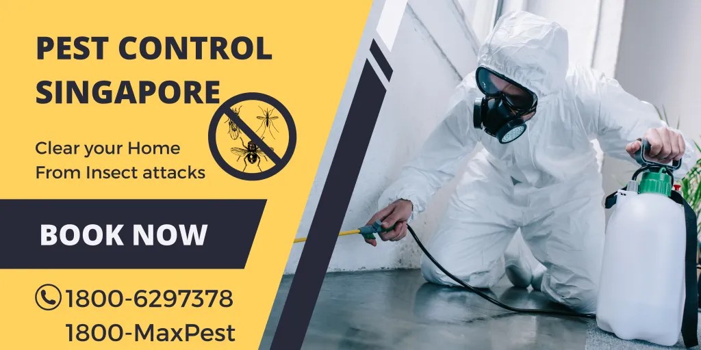 Pest Control Singapore Maximum Pest
