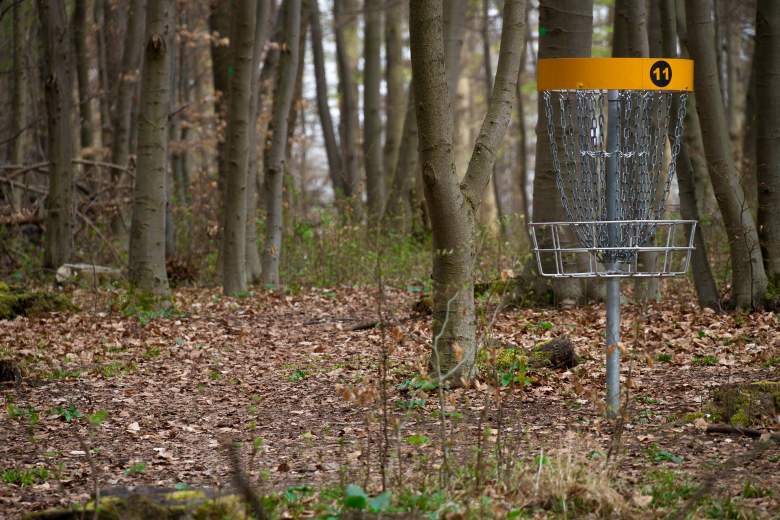 What are the Dimensions of a Disc Golf Basket? Maximum Target
