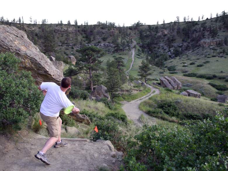 How Heavy Should My Disc Golf Driver Be? Maximum Target