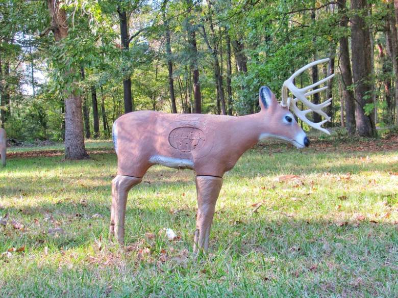 What is ASA Archery? Maximum Target