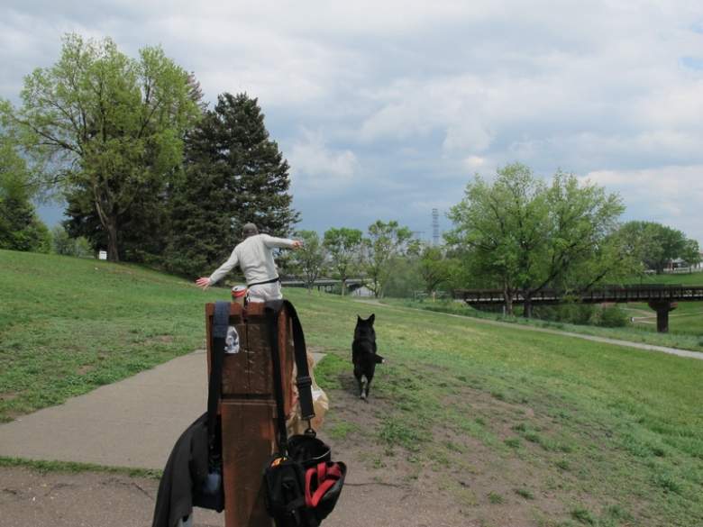 Disc Golf How to Drive Throw Like a Pro Maximum Target