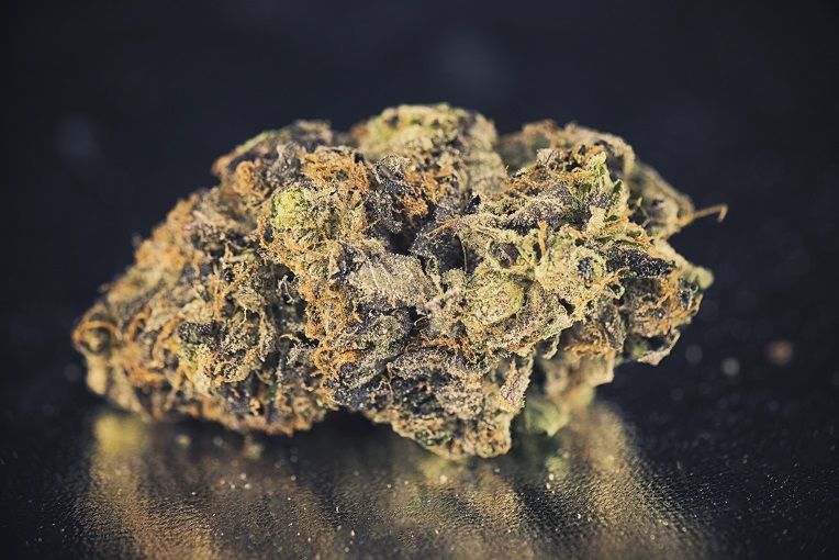 A List of The Best MoldResistant Strains Max's Indoor Grow Shop