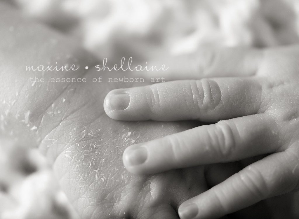 Newborn Macro Photography