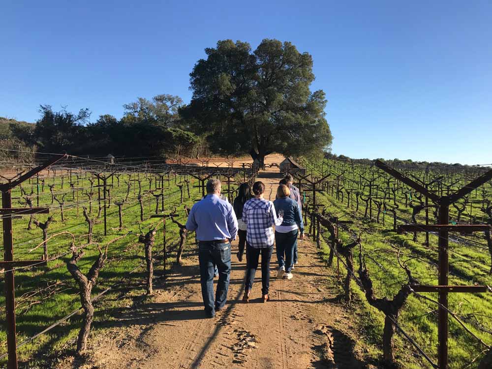 Private Napa Tours Max Napa Tours