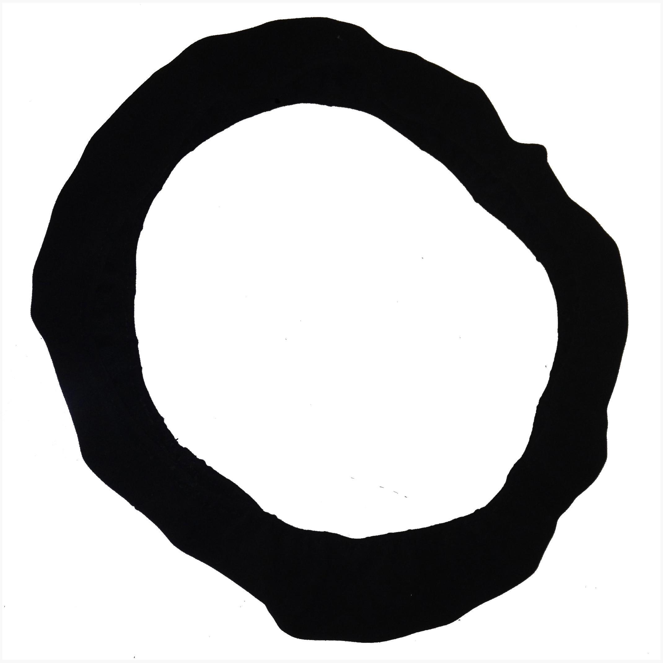 MPIASWC Max Papis Innovations