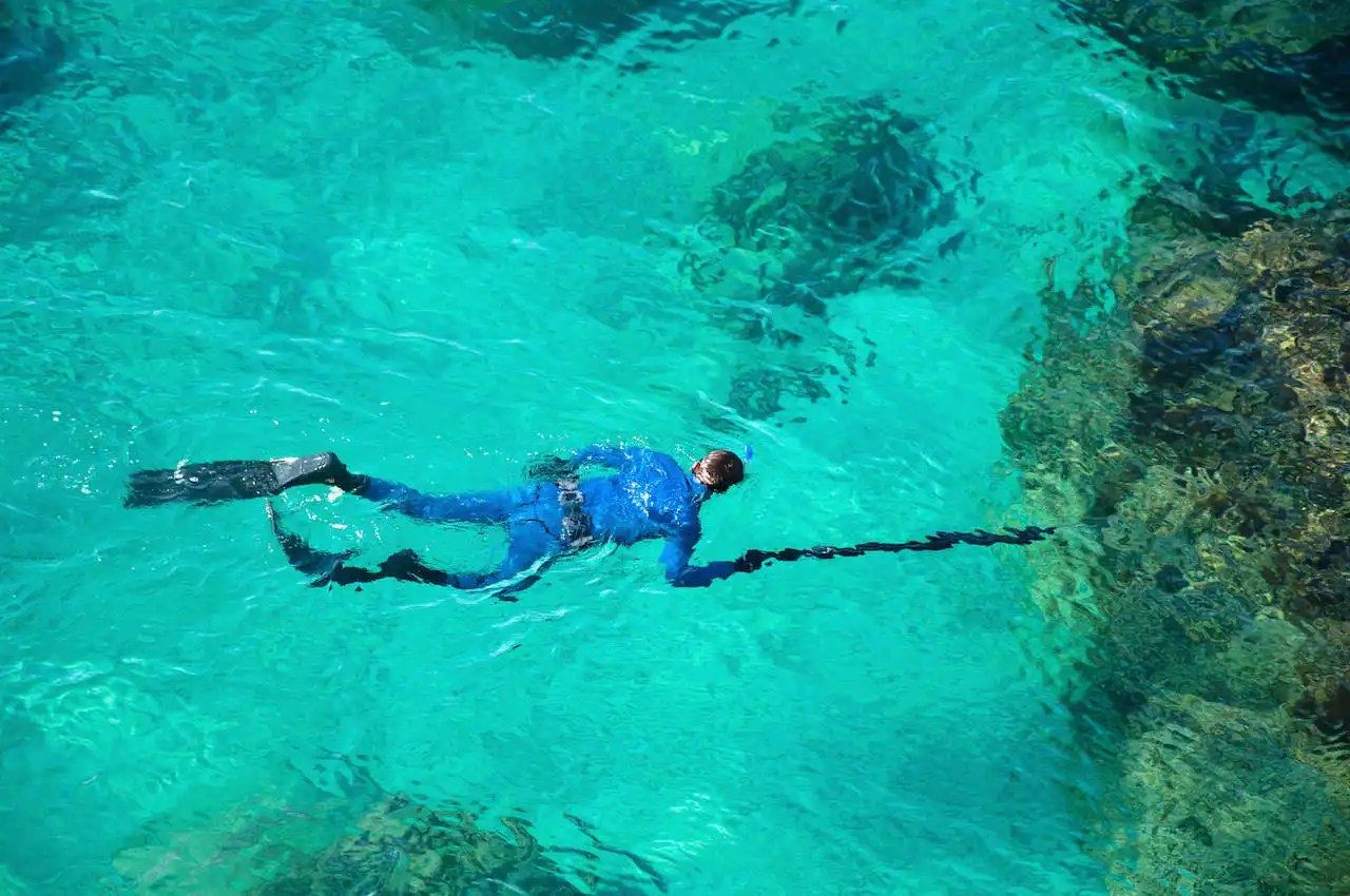 Spearfishing Tips for Beginners Who Are Learning to Spearfish