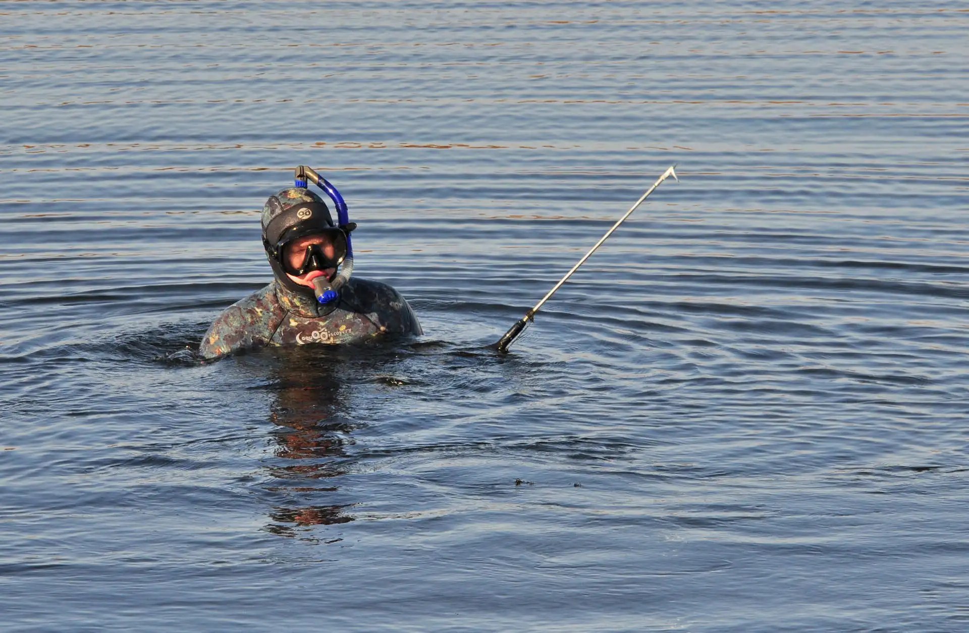 What is Spearfishing? Learn Why It's So Popular and How to Start