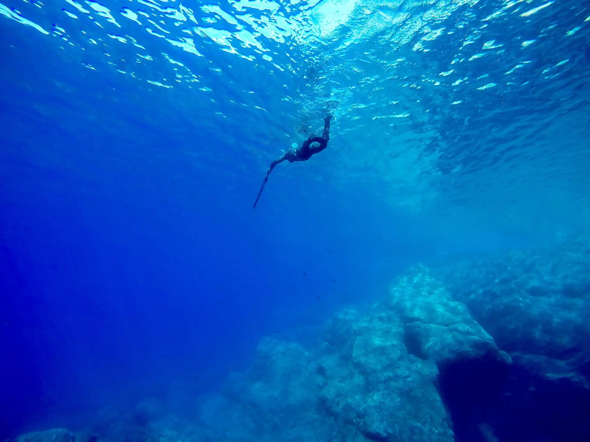 Comprehensive guide to spearfishing techniques