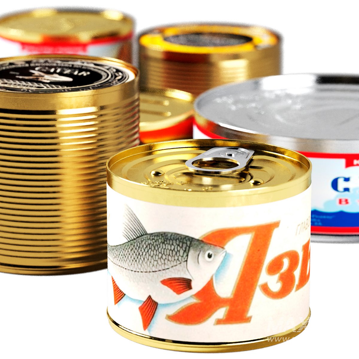 Canned fish 3d model Download Maxve