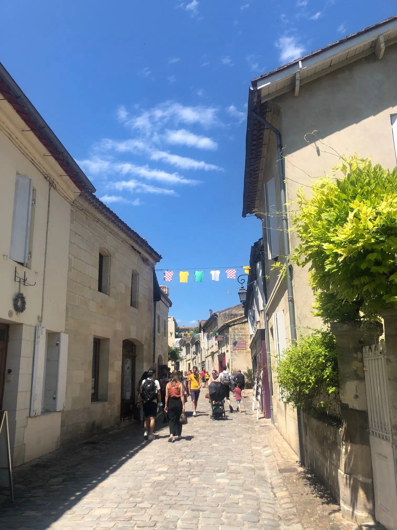 SaintÉmilion 'Portes Ouvertes' a day to remember… MaxwellBaynes