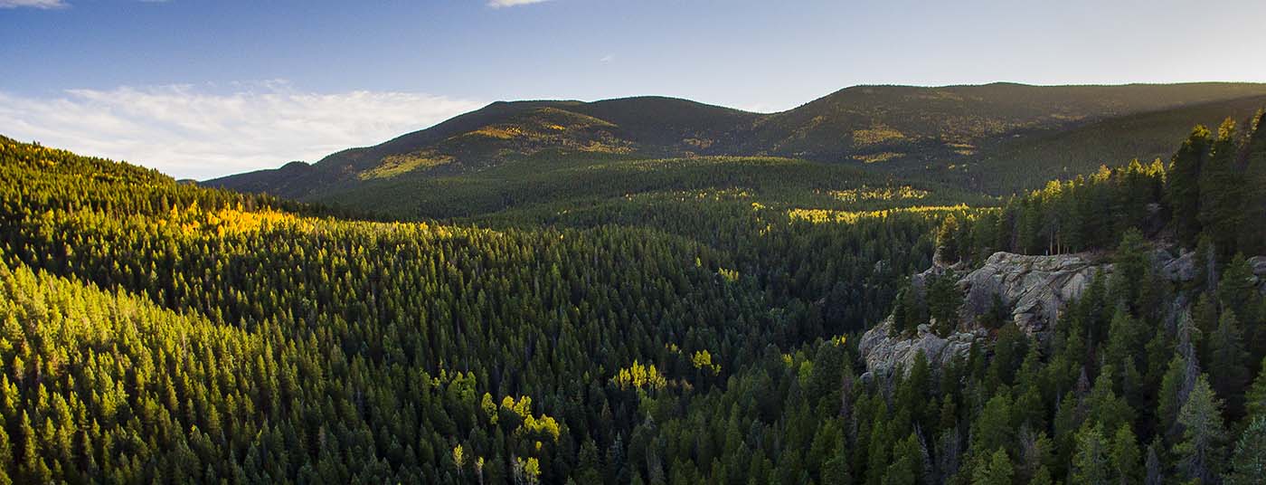 Directions Maxwell Falls, Evergreen